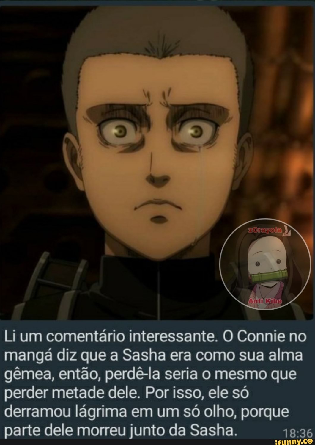 Li um comentário interessante. O Connie no mangá diz que a Sasha era como sua alma gêmea, então, perdê-la seria o mesmo que perder metade dele. Por isso, ele só derramou lágrima em um só olho, porque parte dele morreu junto da Sasha.