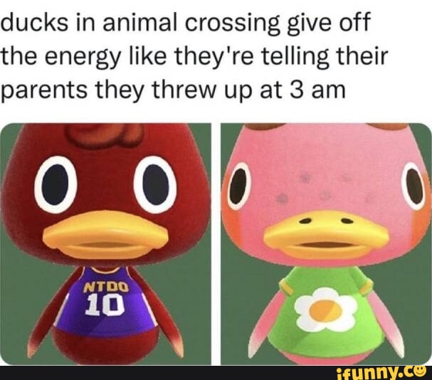 Animalcrossing Memes. Best Collection Of Funny Animalcrossing Pictures ...