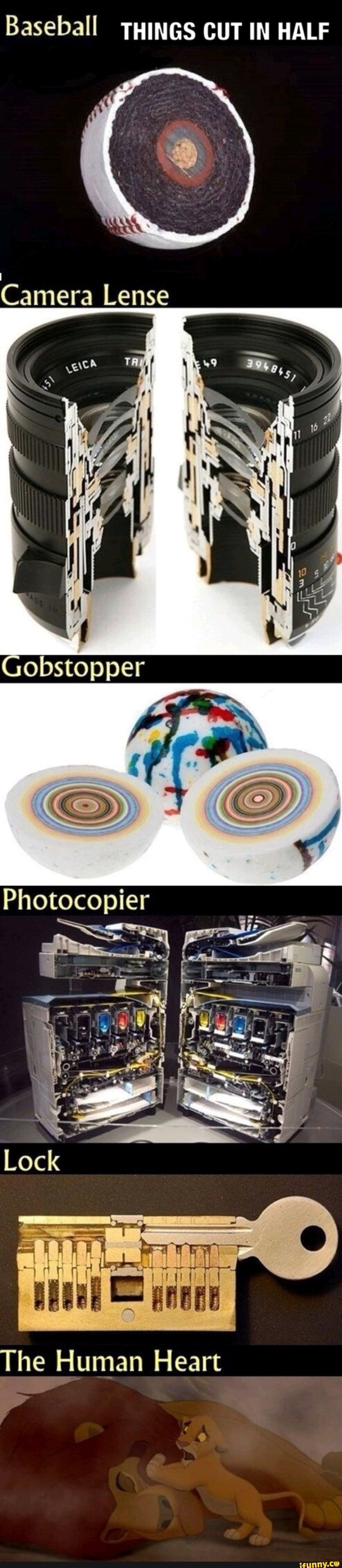 Baseball Things Cut In Half Ss The Human Heart Ifunny