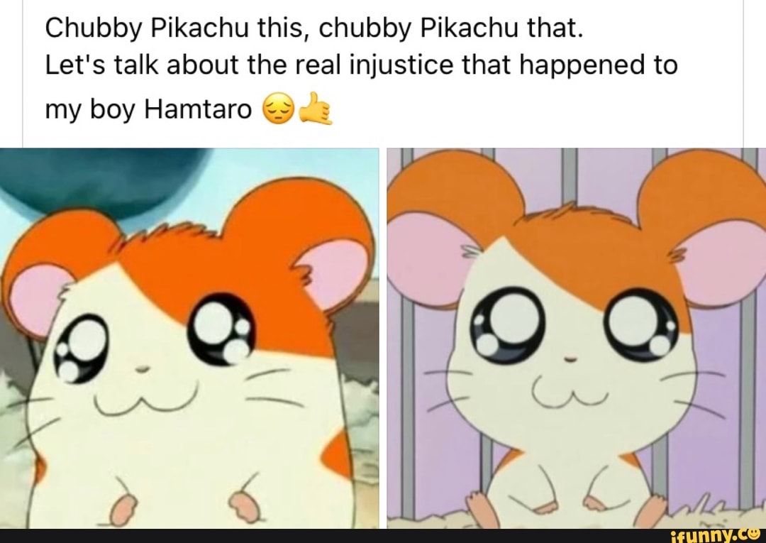 Chubby Pikachu this, chubby Pikachu that.
Let's talk about the real injustice that happened to
my boy Hamtaro