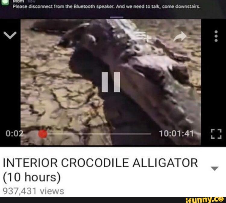 Mom Interior Crocodile Alligator 10 Hours Ifunny