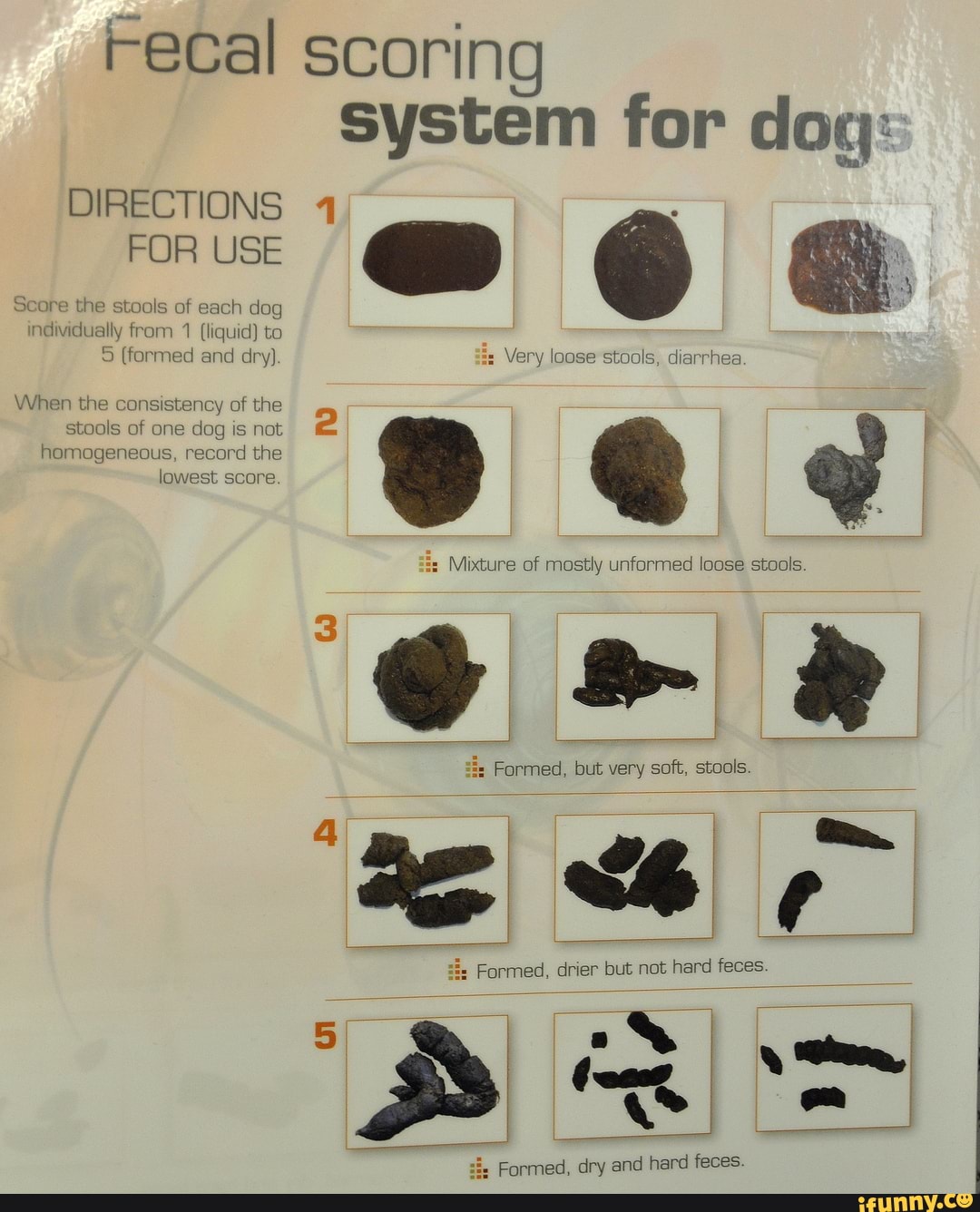 and can you imagine the trophy? Fecal scoring system for dog