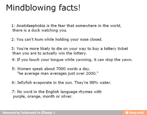 Mindblowing facts!
1: Anatidaephobia is the fear that somewhere in the world,
there is a
duck watching you
2: You can't hum while holding your nose closed.
3: You're more
likely to die on your way to buy a lottery ticket
than you are to actually win the lottery.
4: If you touch your tongue while yawning, it can stop the yawn.
5: Women speak about 7000 words a day.
"he average man averages just over
6: Jellyfish evaporate in the sun. They're 98% water.
7: No word
in the English language rhymes with
purple, orange, month or
silver.