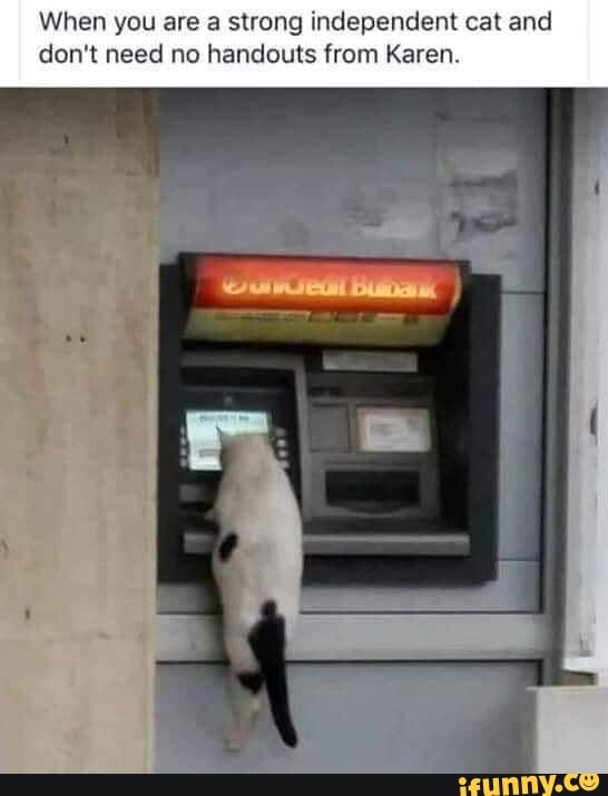 When you are a strong independent cat and don't need no handouts from Karen.