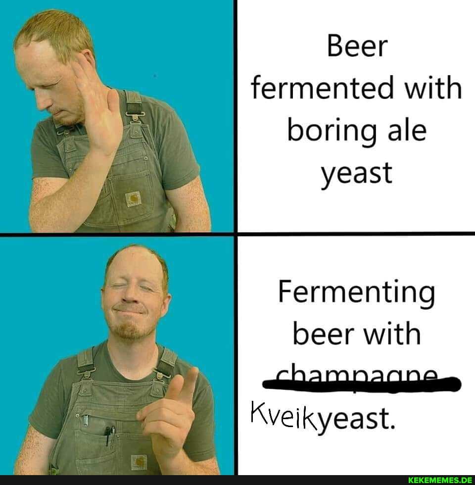 Beer fermented with boring ale yeast
Fermenting beer with
Kveikyeast.