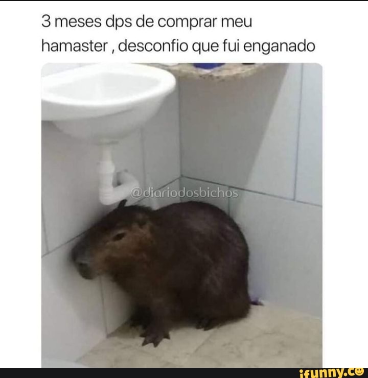 3 meses dps de comprar meu amaster , desconfio que fui enganado
bi h
