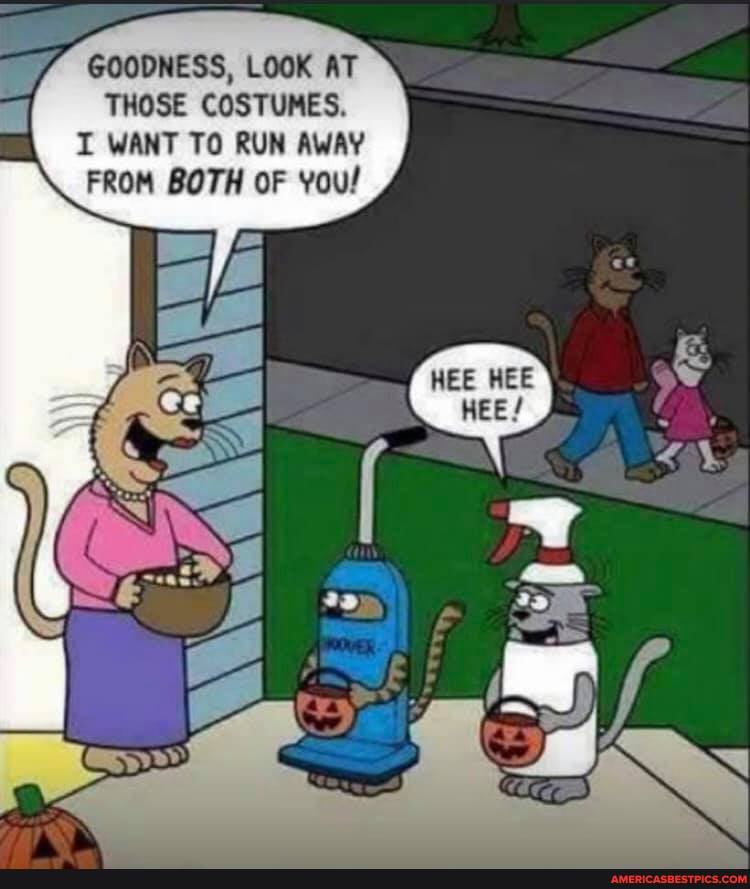 GOODNESS, LOOK AT THOSE COSTUMES.
I WANT TO RUN AWAY FROM BOTH OF You!