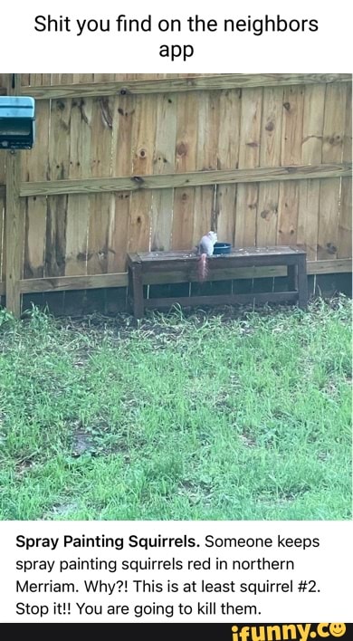 Shit you find on the neighbors
app
Spray Painting Squirrels. Someone keeps spray painting squirrels red in northern
Merriam. Why?! This is at least squirrel #2.
Stop it! You are going to kill them.