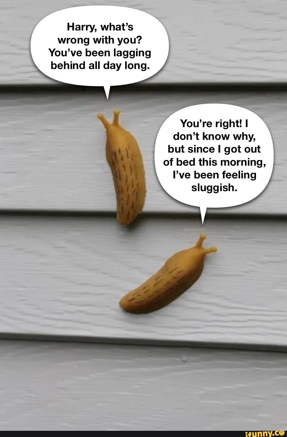 LAGGING memes. Best Collection of funny LAGGING pictures on iFunny, image size:924x1406