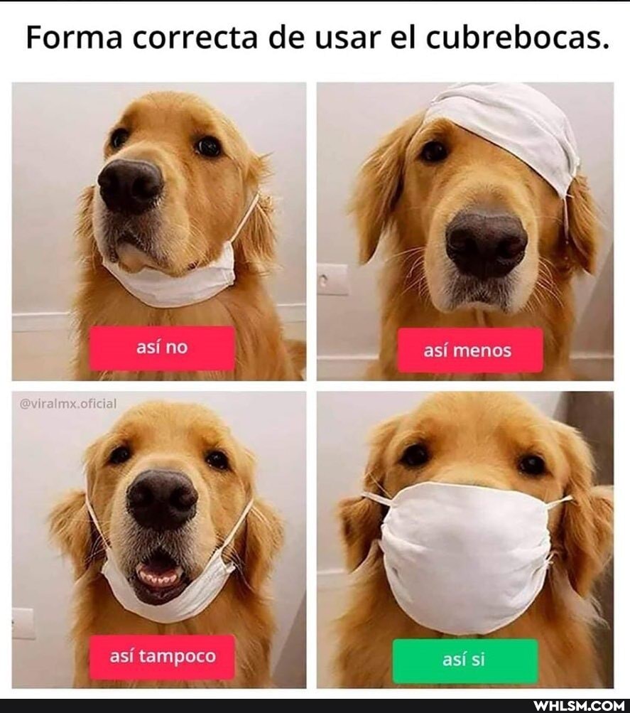 Forma correcta de usar el cubrebocas.
no
asi tampoco