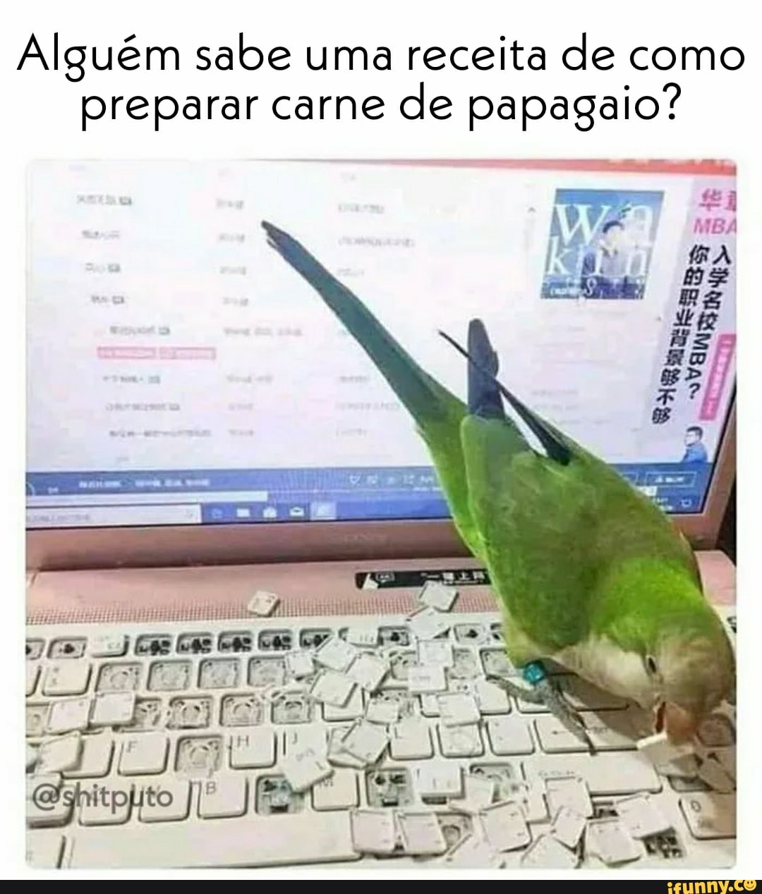 Alguém sabe uma receita de como preparar carne de papagaio?
us
Ba =