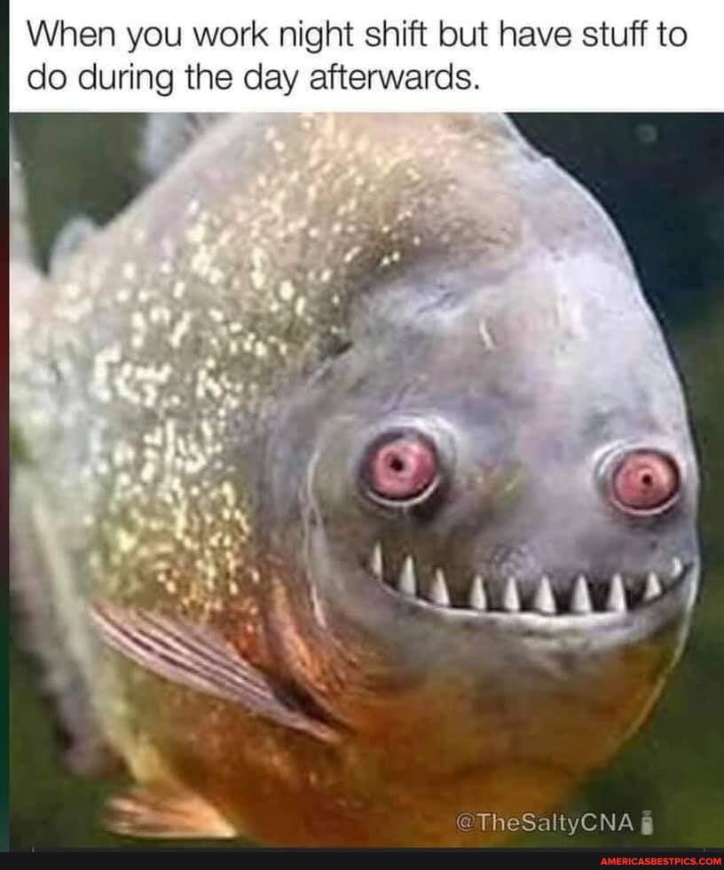 When you work night shift but have stuff to do during the day afterwards.
of
@TheSaltyCNA