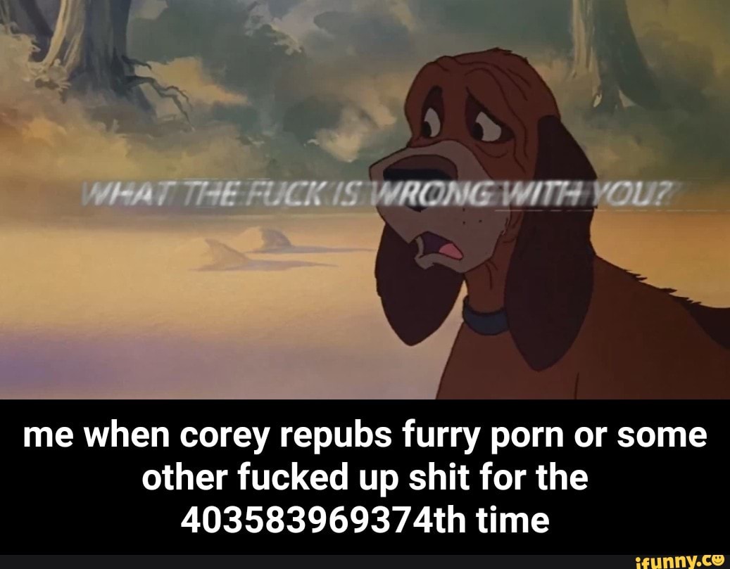 Furry Shit Porn - Me when corey repubs furry porn or some other fucked up shit ...