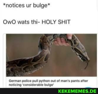 *notices ur bulge*
Ow 00 wats thi- HOLY SHIT