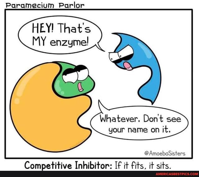 Paramecia memes. Best Collection of funny Paramecia pictures on iFunny