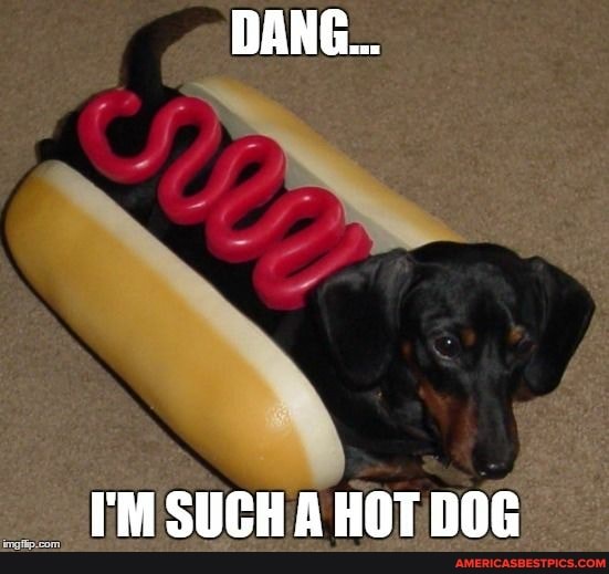I'M SUCH A HOT DOG