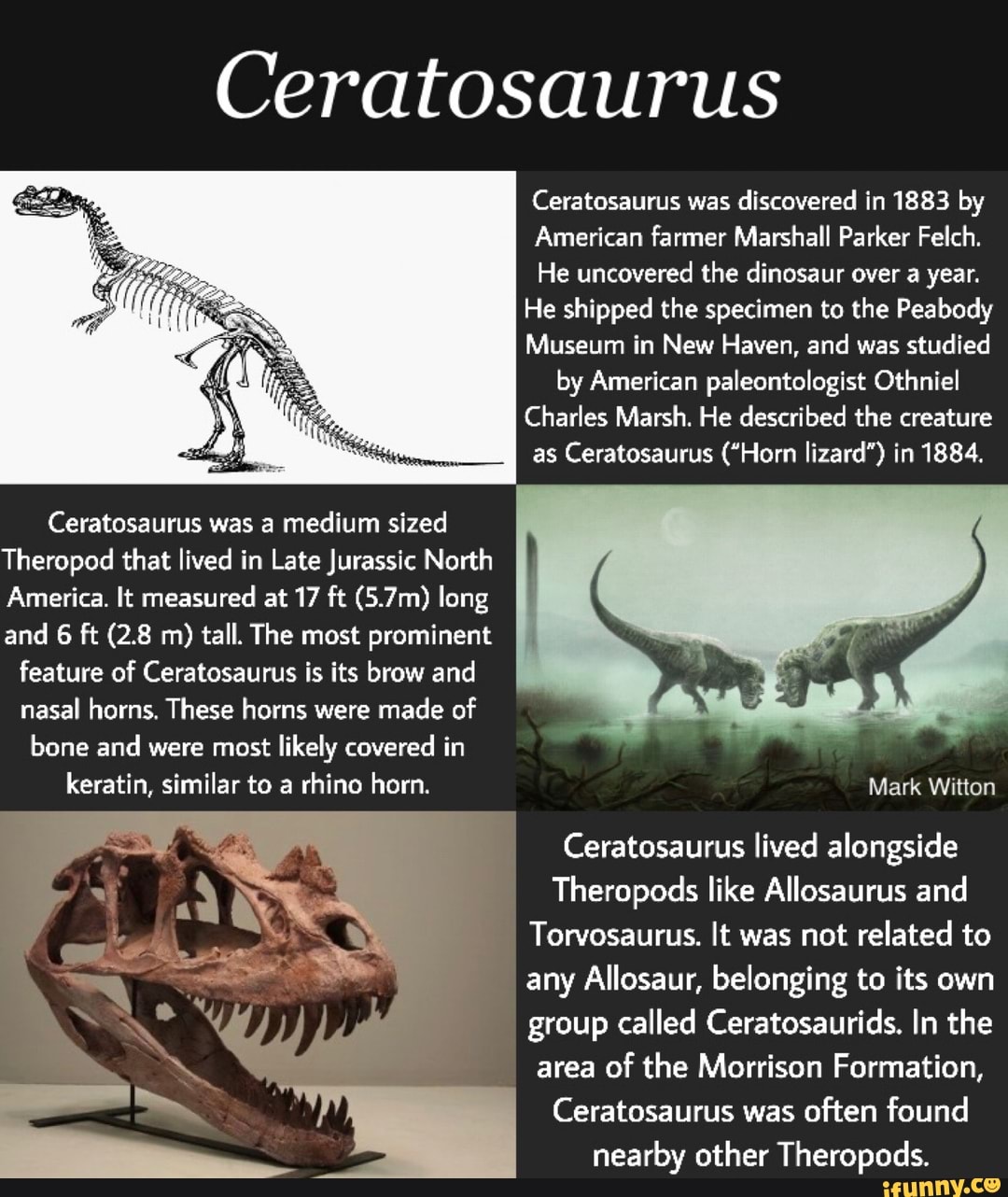 Ceratosaurus Ceratosaurus was discovered in 1883 by American farmer ...