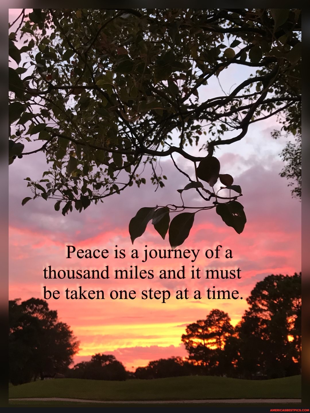 Peace is a journey of a thousand miles and it must be taken one step at a time.