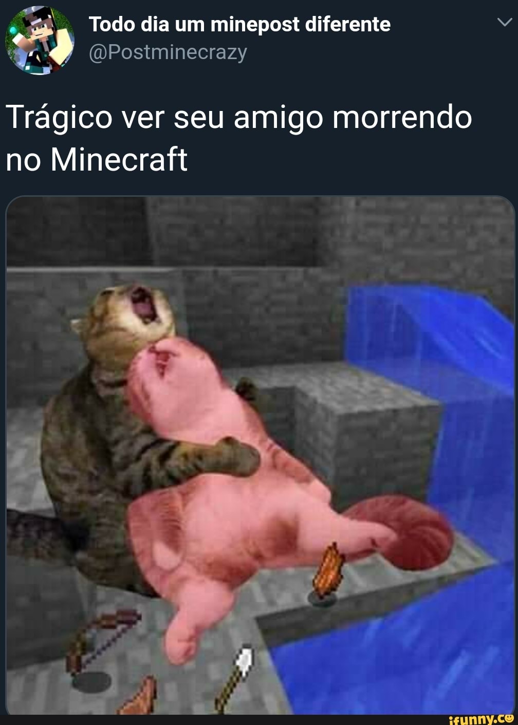 Tragico ver seu amigo morrendo
no Minecraft