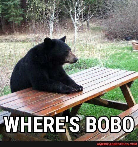 WHERE'S BOBO