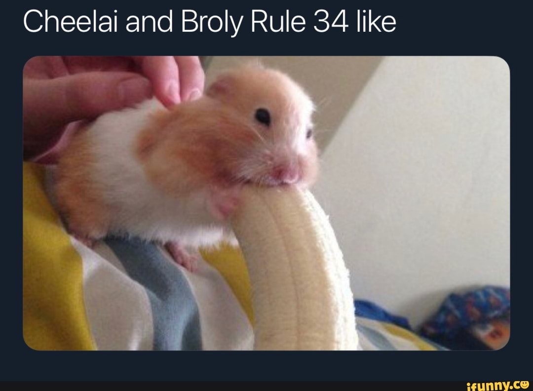 Cheelai Rule 34