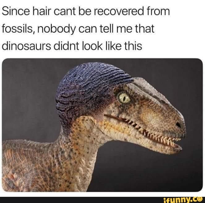 Since hair cant be recovered from fossils, nobody can tell me that ...