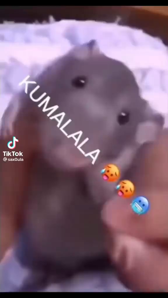Kumalala memes. Best Collection of funny Kumalala pictures on iFunny Brazil