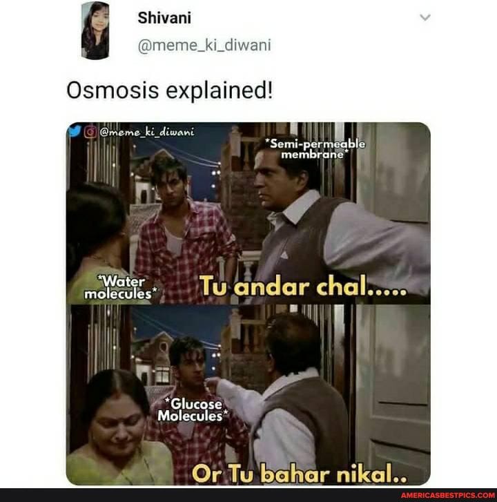 Shivani
Osmosis explained!
@meme_ki_diwani
*Semi-permeable
"Water, Th andar rhal molecules Ua
*Glucose
Molecules