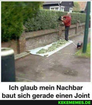 Ich glaub mein Nachbar