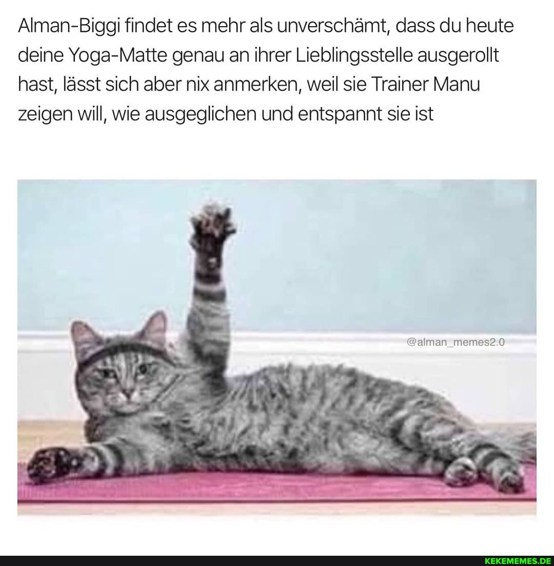 Alman-Biggi findet es mehr als unverschämt, dass du heute deine Yoga-Matte genau an ihrer Lieblingsstelle ausgerollt hast, lässt sich aber nix anmerken, weil sie Trainer Manu zeigen will, wie ausgeglichen und entspannt sie ist
@alman_memes2.0