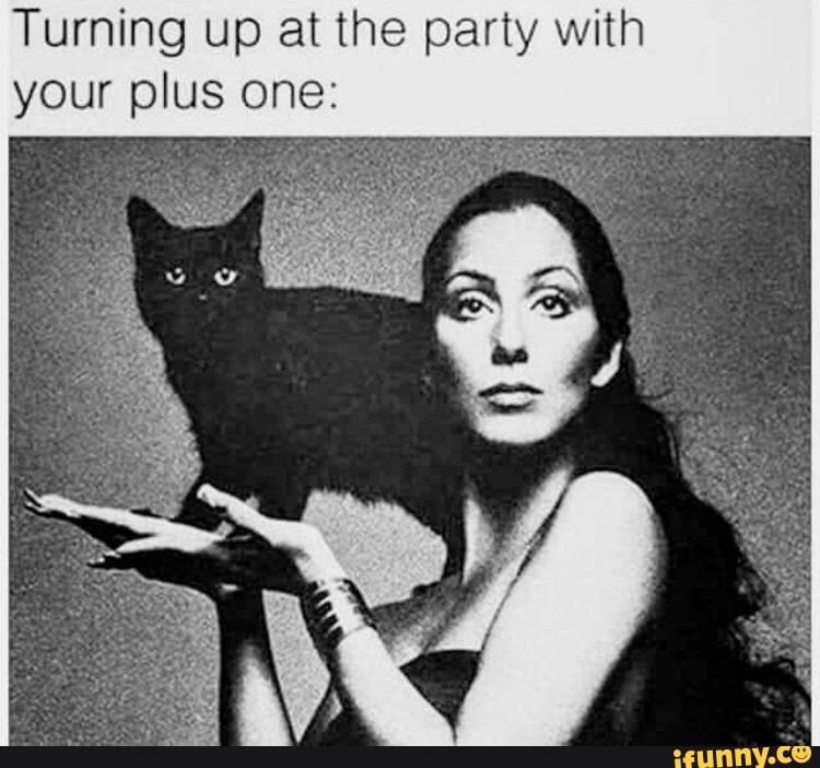 Turning up at the party with your plus one: