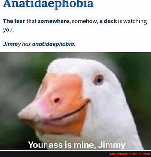 ANatidaephobbia
The fear that somewhere, somehow, a duck is watching you.
Jimmy has anatidaephobia.