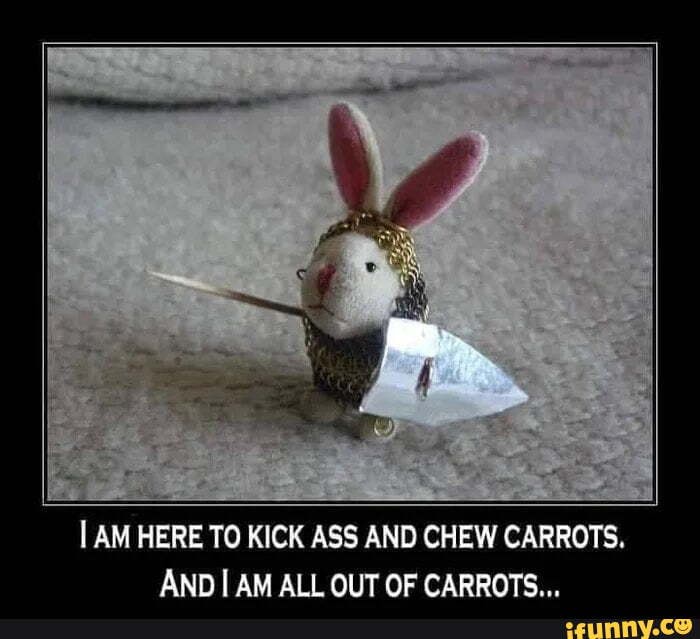 I AM HERE TO KICK ASS AND CHEW CARROTS, AND AM ALL OUT OF CARROTS ...