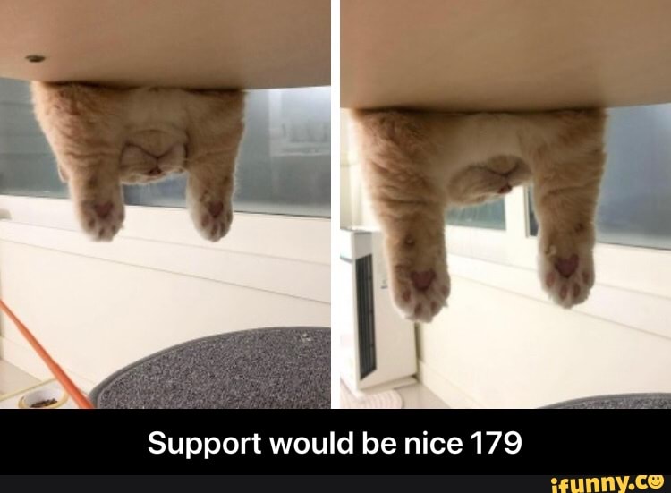 Support would be nice 179 - Support would be nice 179
