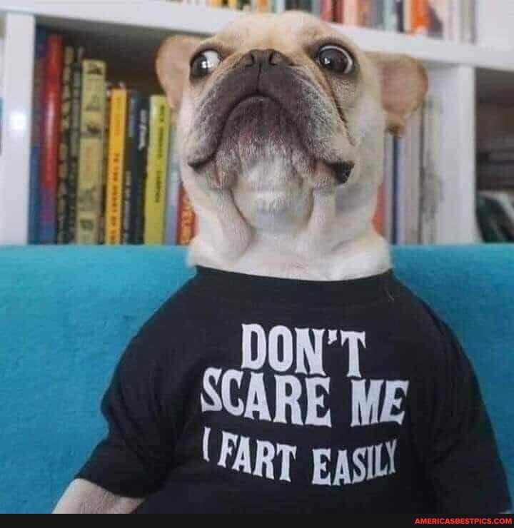 DON'
SCARE ME
(FART Eqsil!