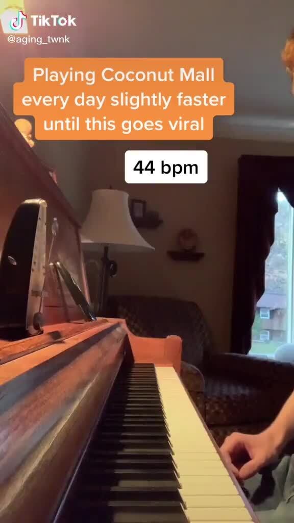 Tiktok Waging Twnk Playing Coconut Mall I Every Day Slightly Faster Until This Goes Viral Ifunny