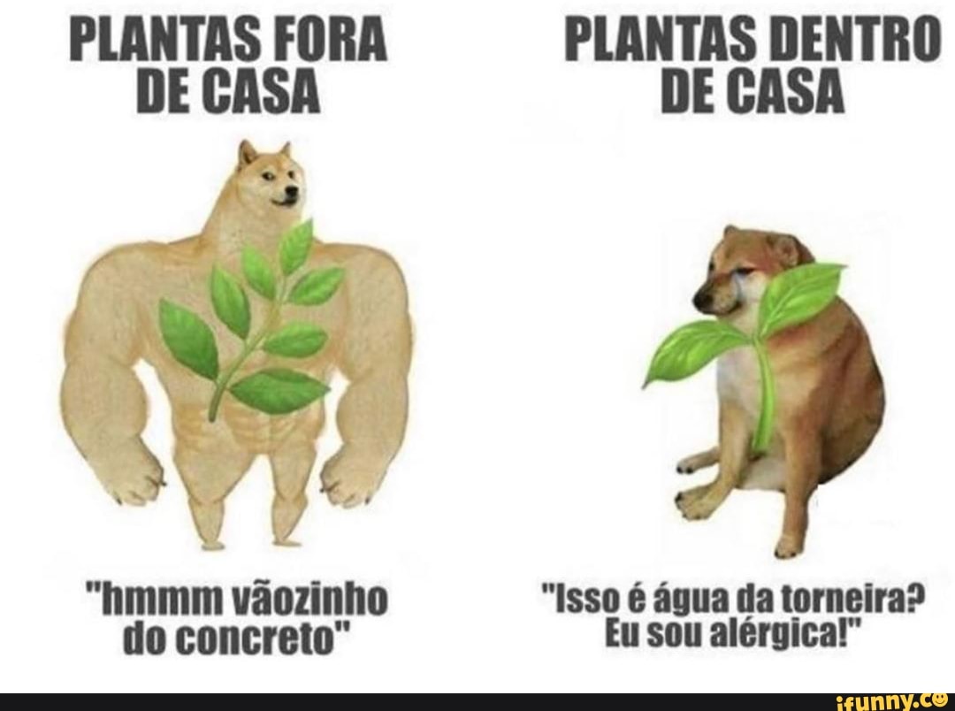 "hmmm vãozinho "Isso é água da torneira?