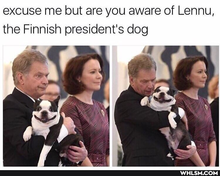 excuse me but are you aware of Lennu, the Finnish president's dog