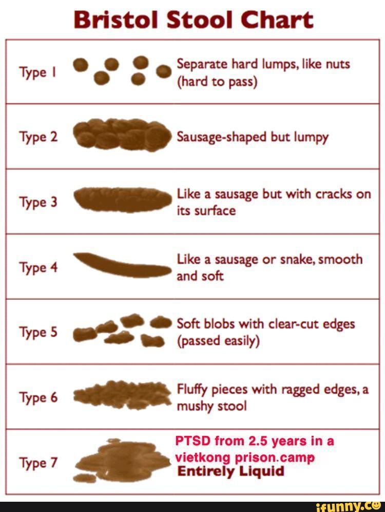 Type I Bristol Stool Chart . . . . Separate hard lumps, like nuts ...