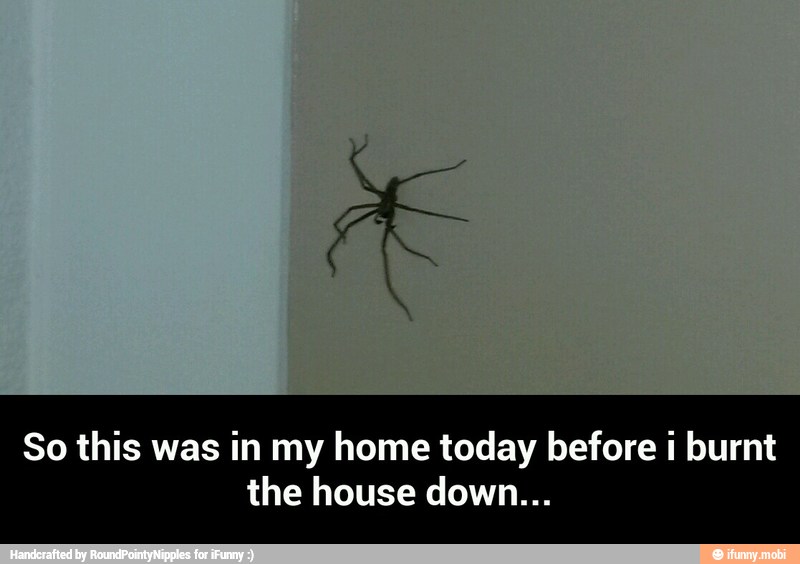 So this was in my home today before i burnt
the house down... - So this was in my home today before i burnt the house down...
