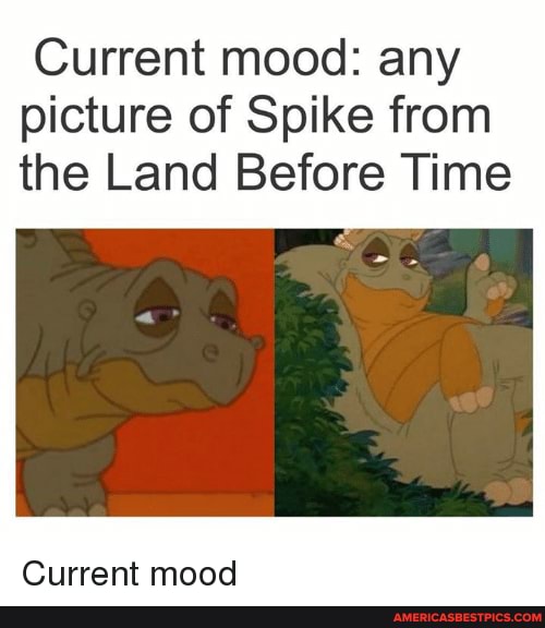 Current mood: any picture of Spike from the Land Before Time
Current mood