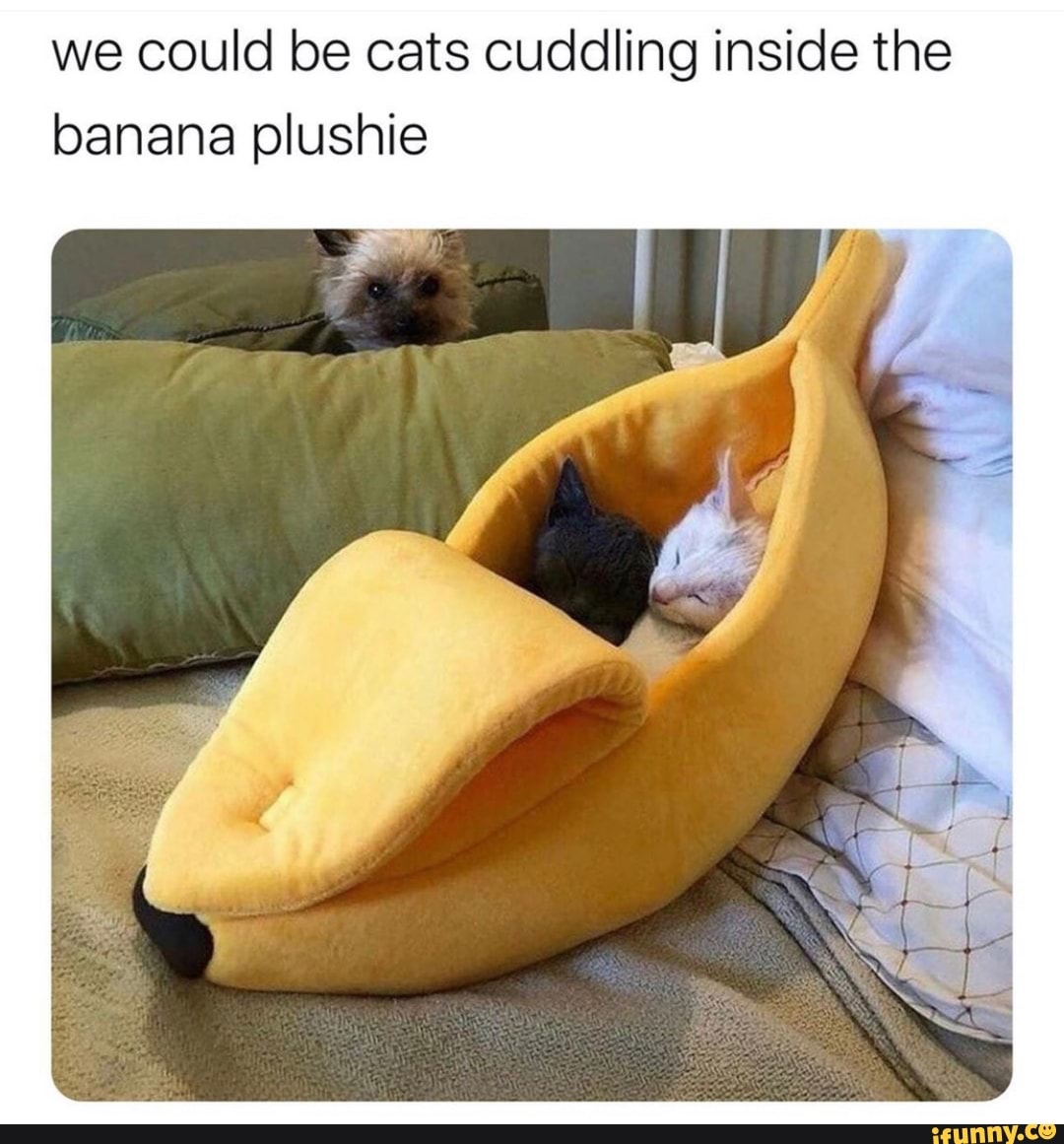 we could be cats cuddling inside the banana plushie