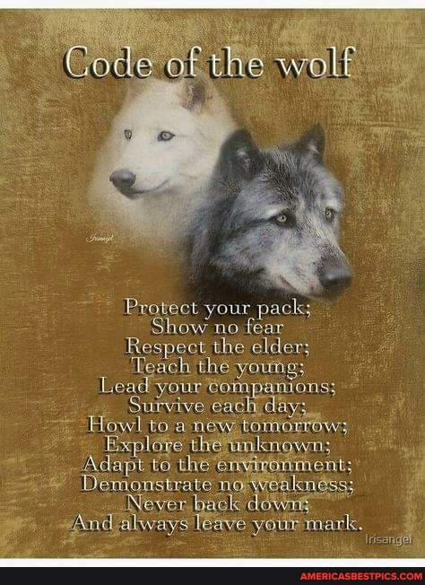 af the wolf
Protect your pack; how no fear
Respect the elder; teach the young;
Lead your'ompanions;
Survive each day:
Howl to anew tomorrow;
Explore the inknown;
Adapt to the et
Demonstrate ni: knee
_ Never back downs
And always leave your mark.