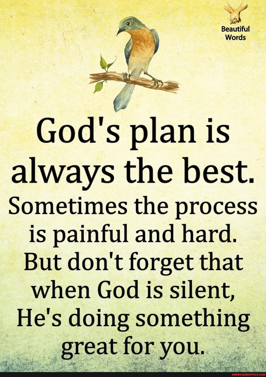 "Beautiful
Words
God's plan is always the best.
Sometimes the process
is painful and hard.
But don't forget that when God is silent,
He's doing something great for you.