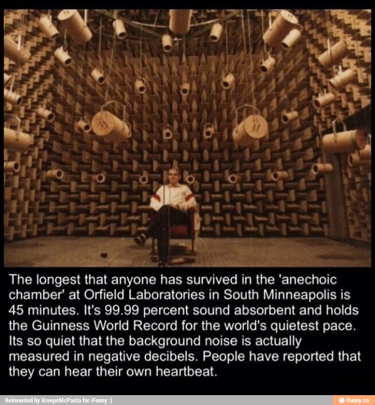 The Longest That Anyone Has Survived In The 'anechoic Chamber At ...