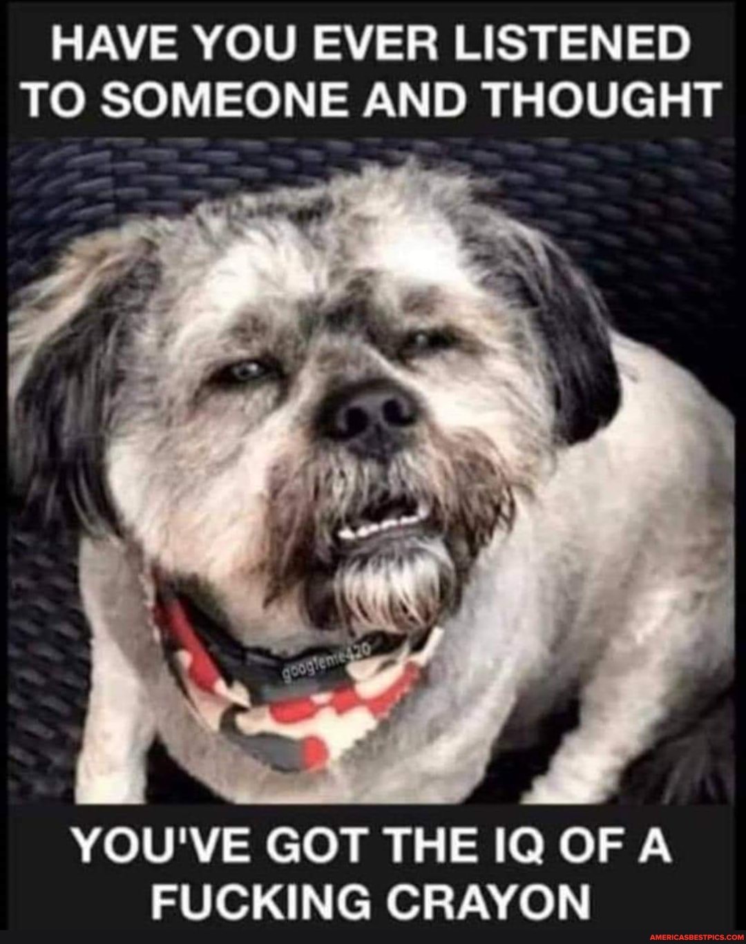 HAVE YOU EVER LISTENED TO SOMEONE AND THOUGHT
YOU'VE GOT THE IO OF A FUCKING CRAYON