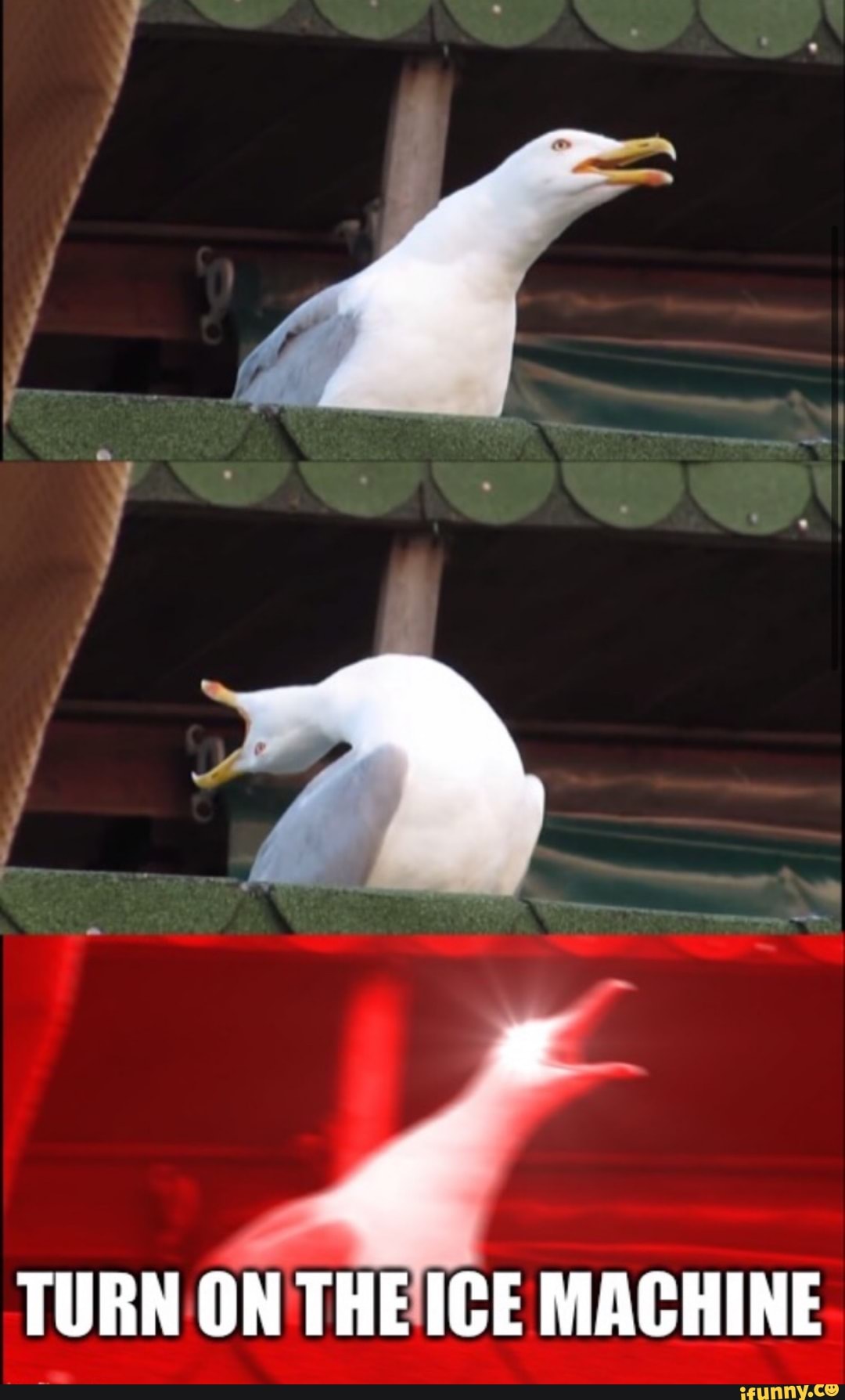 4
TURN ON THEICE MACHINE