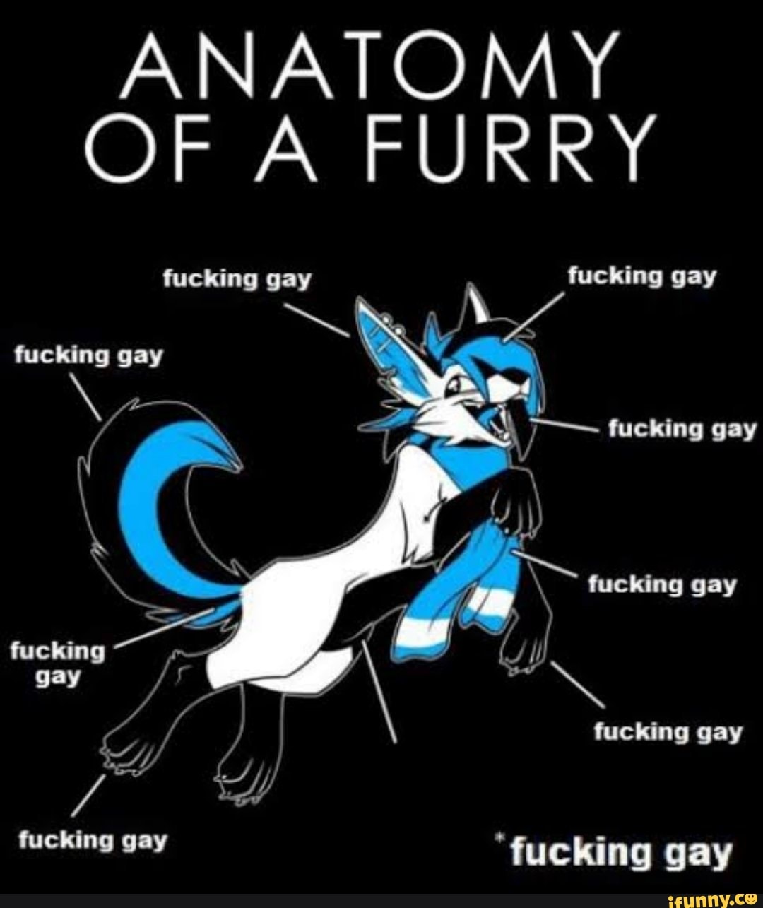 ANATOMY OF A FURRY fucking gay fucking gay fucking gay fucking gay  fucking  gay if fucking gay gay fucking gay 