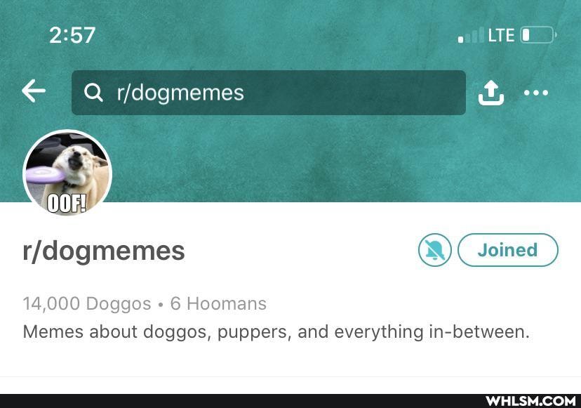 . LES
Memes about doggos, puppers, and everything in-between.