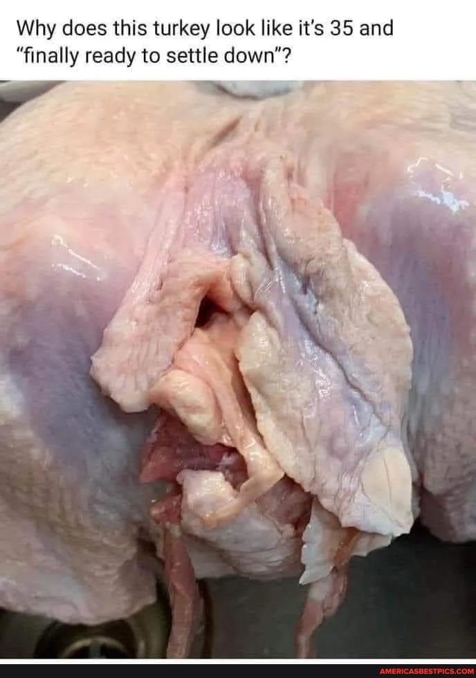 Why does this turkey look like it's 35 and
"finally ready to settle down'?